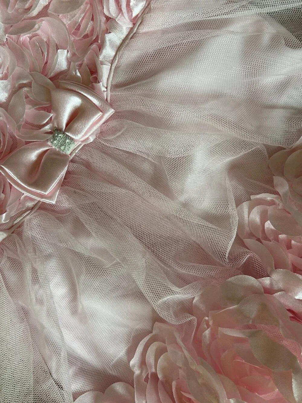 NWT 12 Month Dressy Pink Flower Nannette Dress